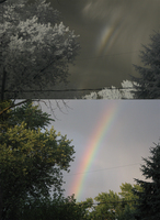 20170906_rainbow.jpg