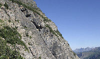 montana_270.jpg