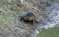 oregon2014_0556.jpg