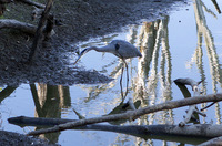 oregon2014_0568.jpg