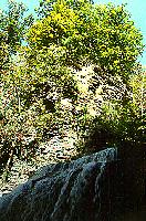 upper_falls_cascadilla.jpg